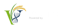 VIETRICE Logo