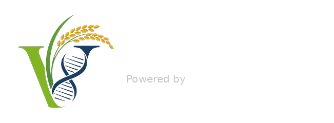 VIETRICE Logo