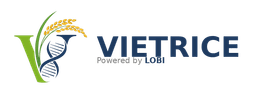 VIETRICE Logo