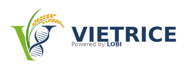 VIETRICE Logo
